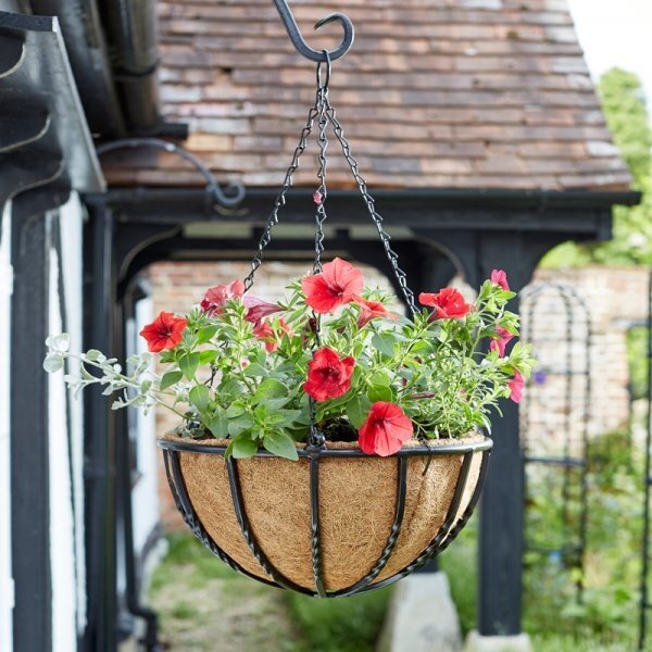 Garners Garden Centre -Garners Garden Centre 16 forge hanging basket 600x600 627d1eb7a2506 l