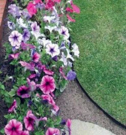 2mm Thick Heavy Duty Lawn Edging Black - 6" Deep -Garners Garden Centre 3mm edging 8 resize 67143 6xcw fe.1521138049