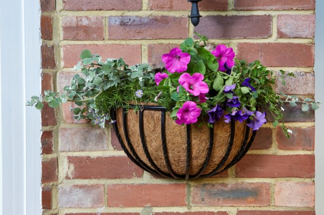 Garners Garden Centre -Garners Garden Centre 60482