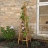 Woodland Obelisk -Garners Garden Centre obb